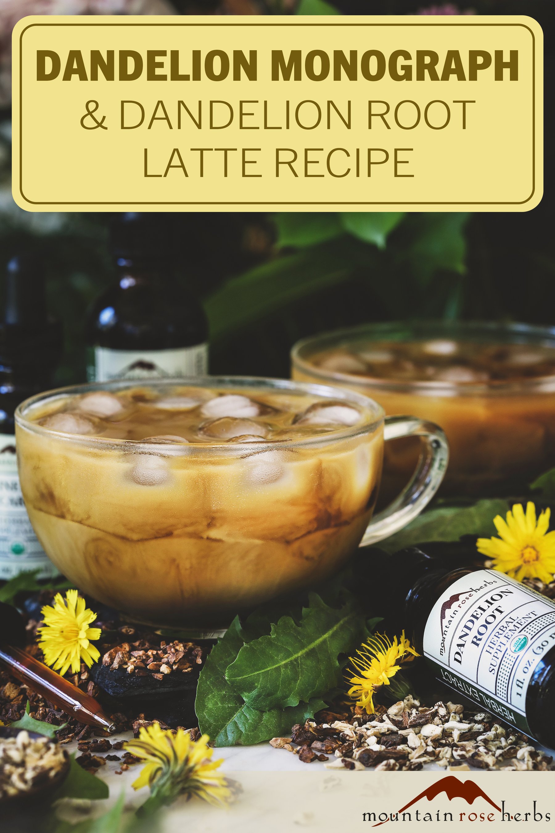 Dandelion Monograph: History, Benefits, &Recipe